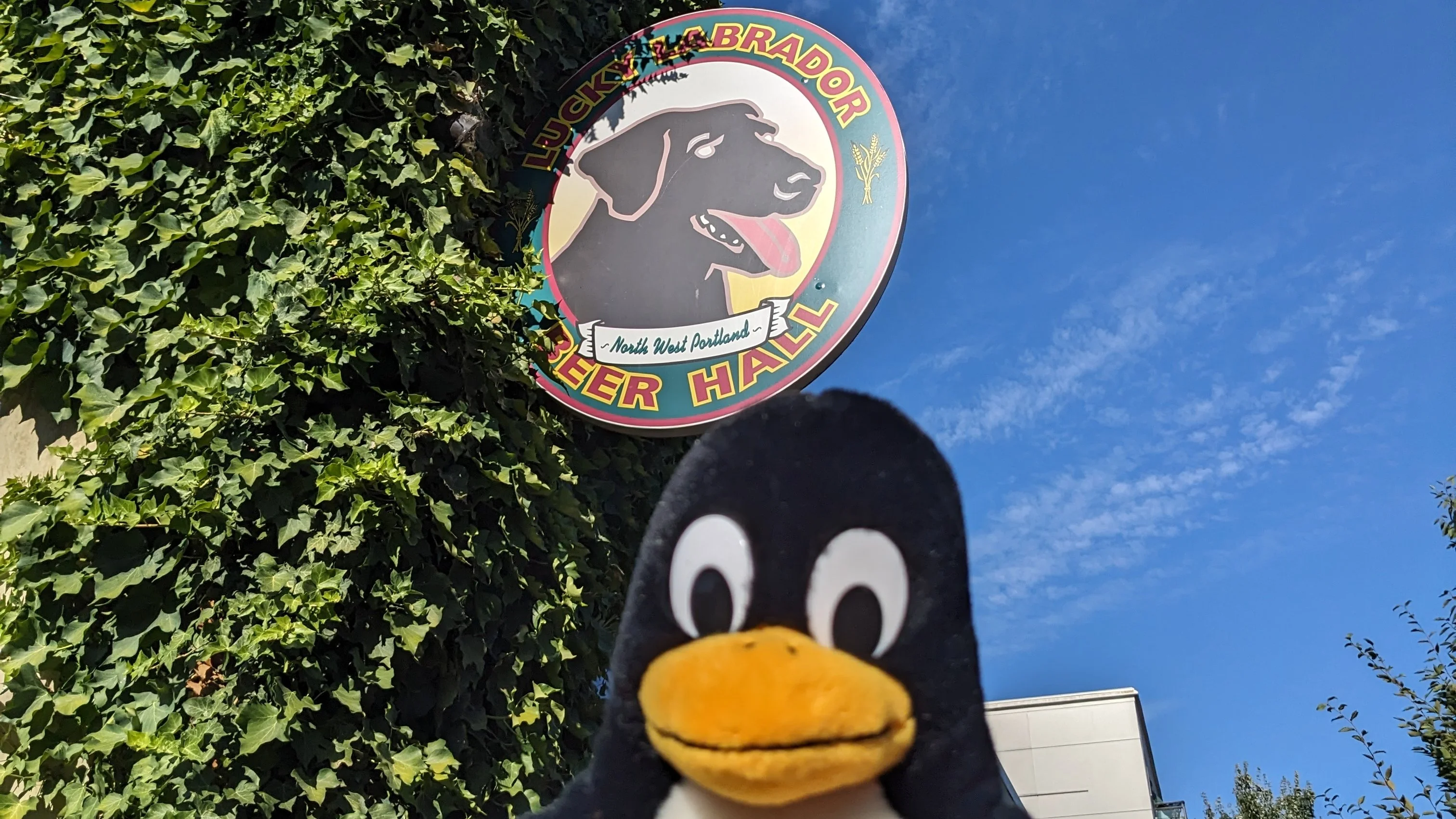 Tux at Lucky Lab